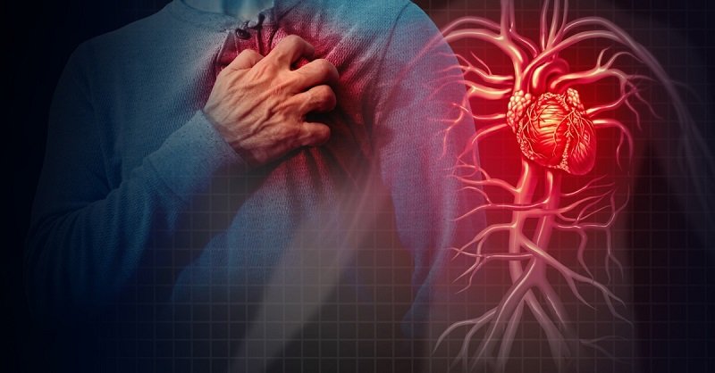 A person clutching their chest in pain, with an illustration of the heart and blood vessels on the side, highlighting cardiovascular issues.
