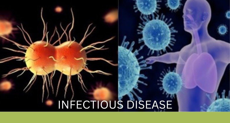 Illustration showing close-up views of bacteria and viruses, alongside a human body silhouette highlighting the concept of infectious diseases.