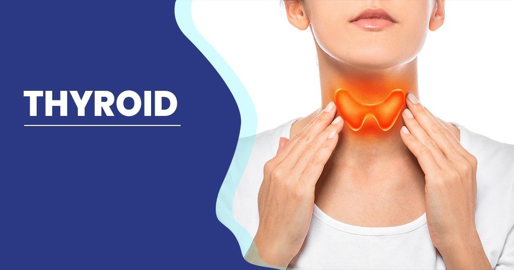 A woman touching her neck with an illustration of the thyroid gland highlighted in orange over her throat area.
